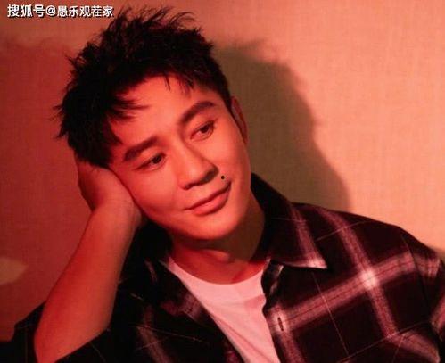 娱乐吃瓜鹅李晨,娱乐吃瓜界的“鹅”中翘楚 第2张 娱乐吃瓜鹅李晨,娱乐吃瓜界的“鹅”中翘楚 第2张