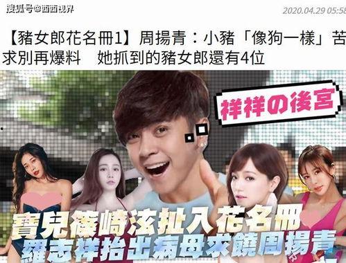 娱乐吃瓜菌感动,见证娱乐圈感动瞬间 第3张 娱乐吃瓜菌感动,见证娱乐圈感动瞬间 第3张