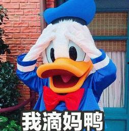 娱乐吃瓜君鸭,揭秘娱乐圈那些不为人知的幕后故事  第2张 娱乐吃瓜君鸭,揭秘娱乐圈那些不为人知的幕后故事  第2张