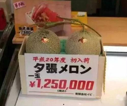 吃瓜娱乐铺,吃瓜娱乐铺带你探秘明星生活  第3张 吃瓜娱乐铺,吃瓜娱乐铺带你探秘明星生活  第3张