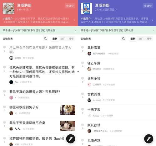 娱乐吃瓜押韵词语,吃瓜群众笑谈风云录  第2张 娱乐吃瓜押韵词语,吃瓜群众笑谈风云录  第2张