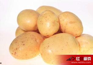 娱乐吃瓜小金土豆,揭秘吃瓜群众背后的土豆人生  第3张 娱乐吃瓜小金土豆,揭秘吃瓜群众背后的土豆人生  第3张