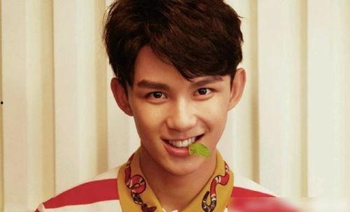 吃瓜娱乐圈吴磊是谁的孩子,娱乐圈新星,揭秘其神秘身世之谜