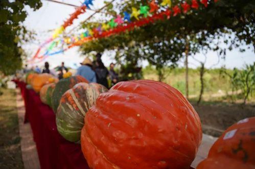 浮云娱乐吃瓜,揭秘娱乐圈最新吃瓜事件  第3张 浮云娱乐吃瓜,揭秘娱乐圈最新吃瓜事件  第3张