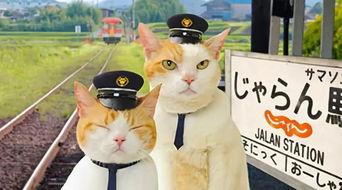 喵喵吃瓜娱乐,揭秘娱乐圈那些不为人知的幕后故事  第3张 喵喵吃瓜娱乐,揭秘娱乐圈那些不为人知的幕后故事  第3张