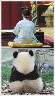 娱乐吃瓜群众2,揭秘娱乐圈背后的秘密与八卦  第3张 娱乐吃瓜群众2,揭秘娱乐圈背后的秘密与八卦  第3张