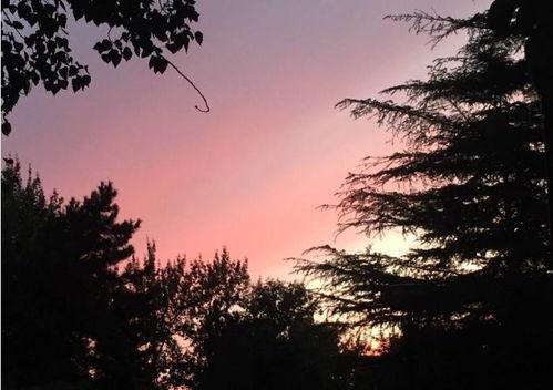 娱乐吃瓜酱晚霞,吃瓜酱带你领略娱乐圈晚霞时刻  第3张 娱乐吃瓜酱晚霞,吃瓜酱带你领略娱乐圈晚霞时刻  第3张