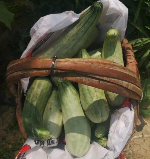 娱乐吃瓜带货,娱乐圈吃瓜达人带你解锁带货新姿势  第3张