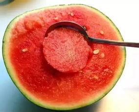 娱乐吃瓜酱花期,揭秘明星幕后故事  第2张 娱乐吃瓜酱花期,揭秘明星幕后故事  第2张