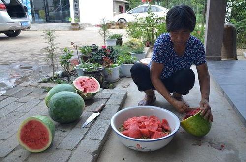 娱乐吃瓜酱花期,揭秘明星幕后故事  第3张 娱乐吃瓜酱花期,揭秘明星幕后故事  第3张