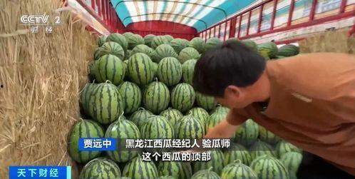 娱乐吃瓜香  第3张 娱乐吃瓜香  第3张