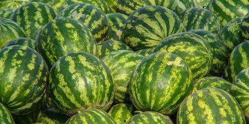 娱乐吃瓜酱新疆,探寻娱乐吃瓜酱的独特风味  第2张 娱乐吃瓜酱新疆,探寻娱乐吃瓜酱的独特风味  第2张