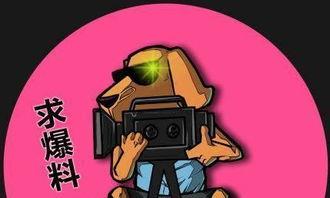 吃瓜娱乐打人案件,一桩打人案件的背后真相  第2张 吃瓜娱乐打人案件,一桩打人案件的背后真相  第2张