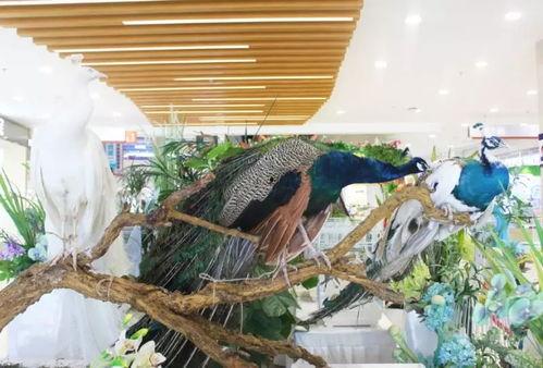 郑州吃瓜娱乐,揭秘城市生活趣味瞬间  第3张 郑州吃瓜娱乐,揭秘城市生活趣味瞬间  第3张