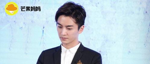 吃瓜娱乐陈晓,揭秘娱乐圈幕后故事  第2张