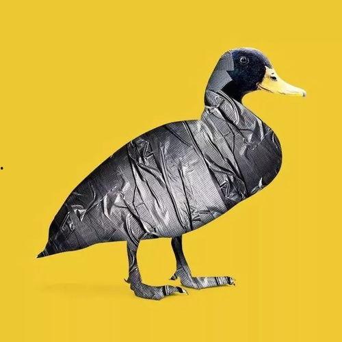 娱乐吃瓜遛鸟大师,吃瓜遛鸟大师带你领略明星幕后生活 第3张 娱乐吃瓜遛鸟大师,吃瓜遛鸟大师带你领略明星幕后生活 第3张