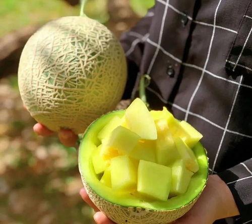 娱乐吃瓜壁纸图片,揭秘吃瓜群众背后的故事 第1张 娱乐吃瓜壁纸图片,揭秘吃瓜群众背后的故事 第1张