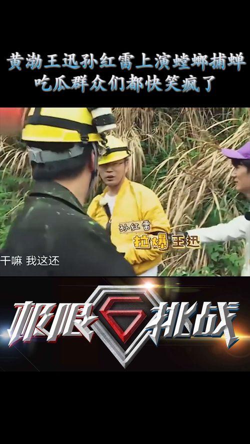 吃瓜群众笑娱乐,娱乐界的欢乐盛宴  第3张