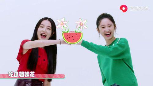 娱乐吃瓜姐妹 第2张 娱乐吃瓜姐妹 第2张