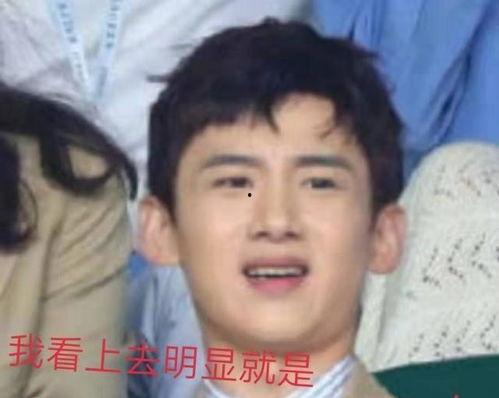 娱乐吃瓜酱神仙,揭秘神仙明星背后的故事  第3张