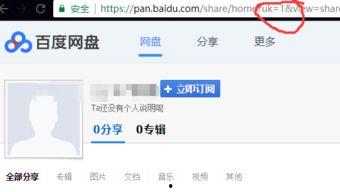 百度网盘上的娱乐圈吃瓜,揭秘明星幕后故事与八卦传闻  第2张