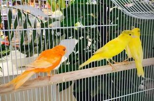 郑州公司吃瓜娱乐,吃瓜娱乐背后的职场生态探秘 第2张 郑州公司吃瓜娱乐,吃瓜娱乐背后的职场生态探秘 第2张