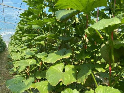 娱乐吃瓜2022,盘点年度热点事件与明星幕后故事  第2张