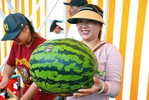 娱乐的吃瓜,揭秘明星幕后故事  第3张