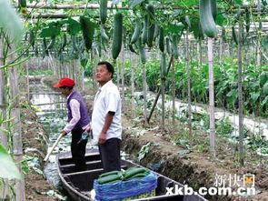 娱乐吃瓜村,揭秘娱乐圈背后的那些事儿 第2张 娱乐吃瓜村,揭秘娱乐圈背后的那些事儿 第2张