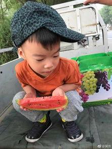 吃瓜娱乐照片图片,吃瓜照片背后的故事 第3张 吃瓜娱乐照片图片,吃瓜照片背后的故事 第3张