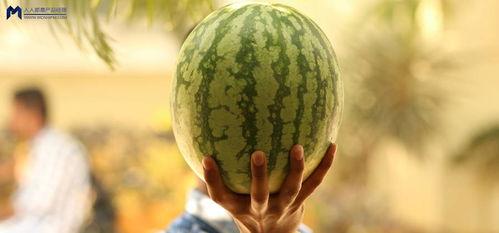 娱乐最新吃瓜事件,揭秘明星隐私风波 第2张 娱乐最新吃瓜事件,揭秘明星隐私风波 第2张