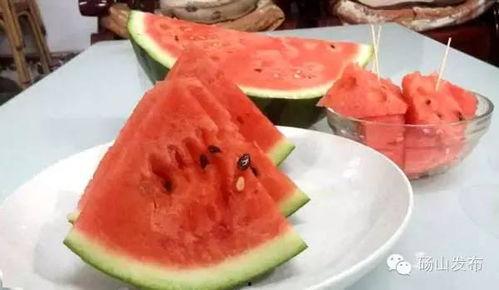 砀山吃瓜娱乐,一场别开生面的吃瓜娱乐盛宴  第2张