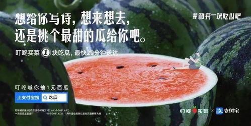 娱乐吃瓜文案啊,吃瓜文案背后的八卦盛宴