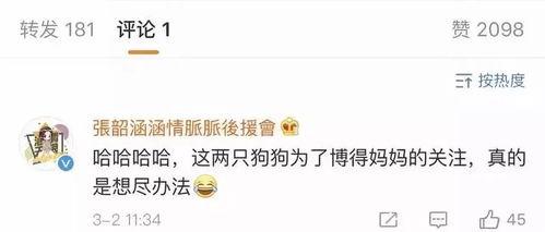 娱乐吃瓜2022年,吃瓜盛宴与风云变幻 第3张 娱乐吃瓜2022年,吃瓜盛宴与风云变幻 第3张