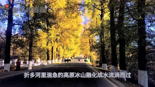 娱乐吃瓜君集美,揭秘娱乐圈最新热点，带你领略韩流魅力
