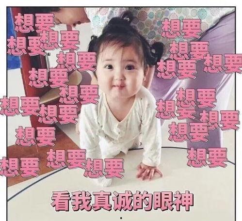 娱乐吃瓜酱精神好稳定的一家人,一家人的精神支柱与快乐源泉