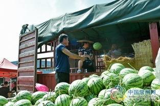 娱乐吃瓜场湛江,潮玩娱乐综合体与美食街的璀璨融合 第2张 娱乐吃瓜场湛江,潮玩娱乐综合体与美食街的璀璨融合 第2张