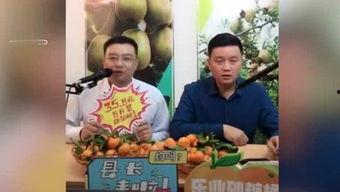 胖子娱乐吃瓜厅,胖子娱乐吃瓜厅深度解析421文件