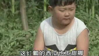 胖子娱乐吃瓜厅,胖子娱乐吃瓜厅深度解析421文件 第2张 胖子娱乐吃瓜厅,胖子娱乐吃瓜厅深度解析421文件 第2张