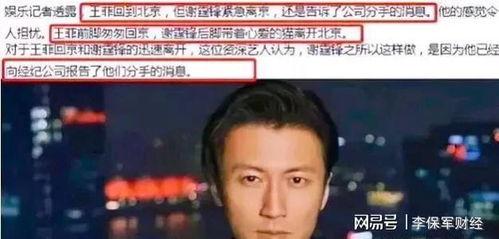 娱乐吃瓜小将谢霆锋,娱乐圈风云人物的多面人生