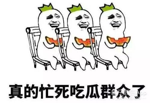 娱乐吃瓜酱知识怎么就进脑子里了,揭秘网络娱乐资讯的传播与影响