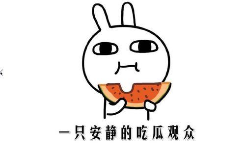 娱乐吃瓜酱知识怎么就进脑子里了,揭秘网络娱乐资讯的传播与影响 第2张 娱乐吃瓜酱知识怎么就进脑子里了,揭秘网络娱乐资讯的传播与影响 第2张