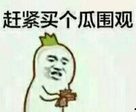娱乐吃瓜酱知识怎么就进脑子里了,揭秘网络娱乐资讯的传播与影响 第3张 娱乐吃瓜酱知识怎么就进脑子里了,揭秘网络娱乐资讯的传播与影响 第3张