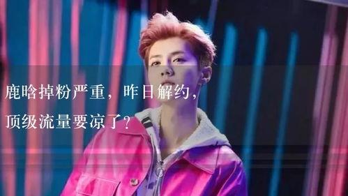 解说吃瓜娱乐,吃瓜群众的欢乐盛宴 第3张 解说吃瓜娱乐,吃瓜群众的欢乐盛宴 第3张