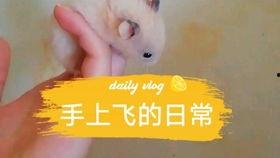 吃瓜娱乐背景板,揭秘幕后故事与明星幕后生活