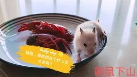 吃瓜娱乐背景板,揭秘幕后故事与明星幕后生活 第2张 吃瓜娱乐背景板,揭秘幕后故事与明星幕后生活 第2张