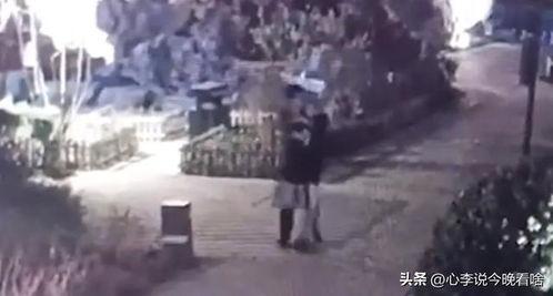 娱乐吃瓜视频完整,吃瓜群众视角下的明星幕后故事 第3张 娱乐吃瓜视频完整,吃瓜群众视角下的明星幕后故事 第3张