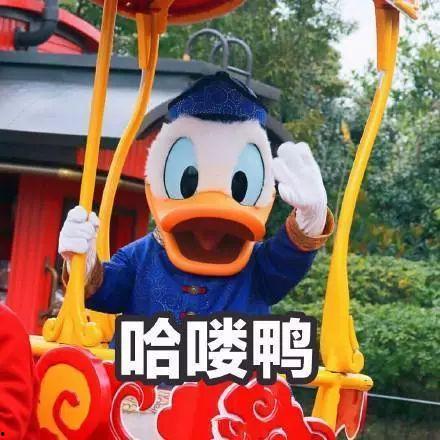 娱乐吃瓜鸭,揭秘吃瓜背后的故事与真相
