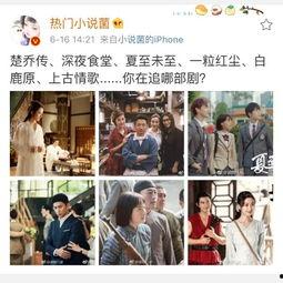 娱乐吃瓜深夜食堂,美食与情感的交织之旅