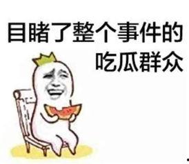 娱乐吃瓜趣闻小说,娱乐圈那些鲜为人知的吃瓜趣事